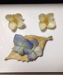 苑 | ピアス（両耳用）