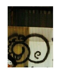 SPY | その他ヘアアクセサリー