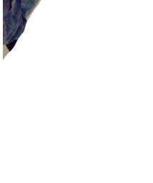 MICHAEL KORS | ショルダーバッグ