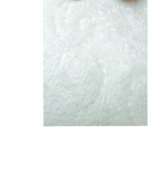 かむ作 | その他ボディ・ヘアケア