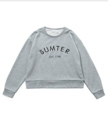 Andemiu | ロゴシシュウPO(スウェット)