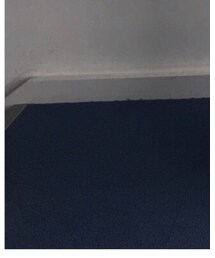 DIANA | パンプス