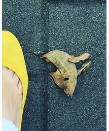 velikoko ラクチンきれいシューズ | パンプス