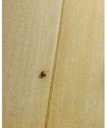 仕事用Hair💇 | その他