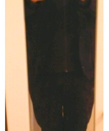 UNIQLO | チノパンツ