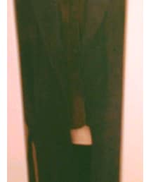 フラミンゴ | その他アウター