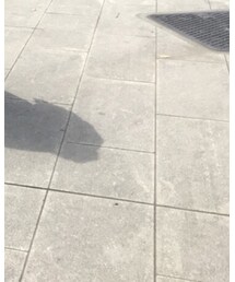 UNIQLO | スウェット