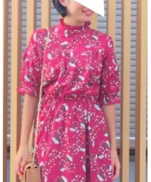 Honeys | ワンピース