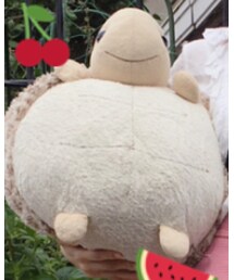 水族館 | 雑貨/ホビー