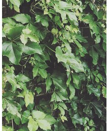 LOWRYS FARM | トップス