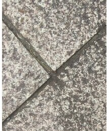 平和公園の横の道 | その他