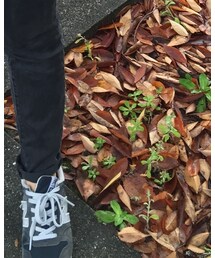 NEW BALANCE | スニーカー