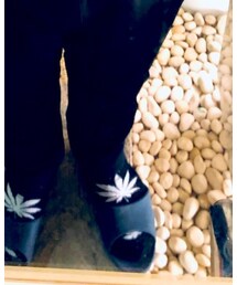 no brand | タイツ/ストッキング