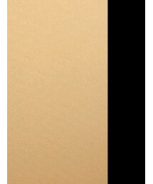 Steven Alan | シャツ/ブラウス