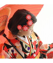 髪飾り (その他ヘアアクセサリー)