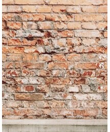 BEAMS | シャツ/ブラウス