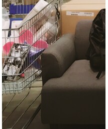 from korea | バックパック/リュック