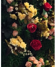 from korea | パーカー