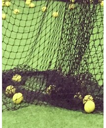 MISS SIXTY | デニムパンツ