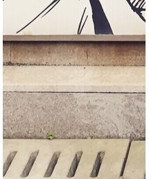 ZARA | デニムパンツ