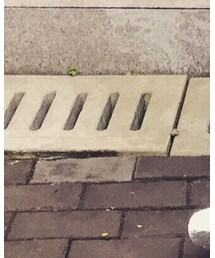 Reebok | スニーカー