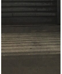 VANS | スリッポン