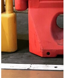 Champion | ソックス/靴下