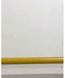 Champion | エコバッグ/サブバッグ