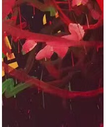 no brand | ワンピース