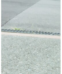 DAISO | バンダナ/スカーフ