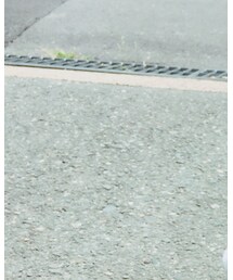 Birthday | Tシャツ/カットソー