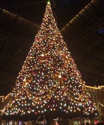 クリスマス | その他