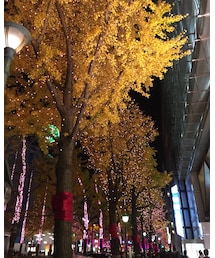 御堂筋✴︎ | その他