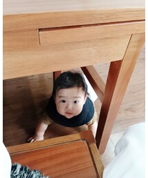 ひょっこりはん | その他