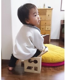 入らないと思うよ？ | その他