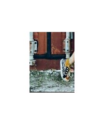 feiyue  | スニーカー