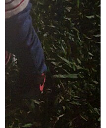 UNIQLO | チノパンツ