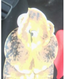 bwcw | スウェット