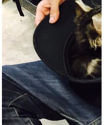 NEWERA EK COLLECTION | キャップ