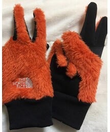 THE NORTH FACE | 手袋
