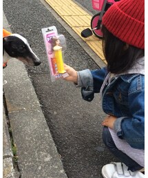 わんちゃんにお菓子を自慢 | その他