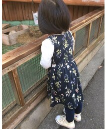 モルモットに夢中 | その他