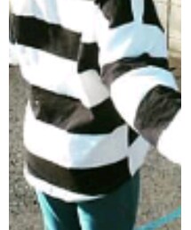 韓国子供服 | Tシャツ/カットソー