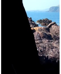 UNIQLO | その他パンツ