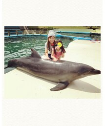 イルカ&とりこ♡(.◜ω◝.)♡ | その他