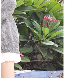 ZARA | ニット/セーター