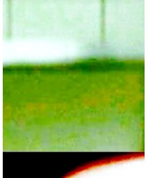 KATE | ファンデーション