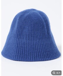 3.3 Field Trip  | ハット