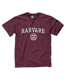 Champion | 古着/カレッジT(HARVARD)/L(Tシャツ/カットソー)