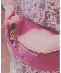 Dickies | ショルダーバッグ